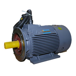 YD、YDT系列變極多速電動(dòng)機(jī)
